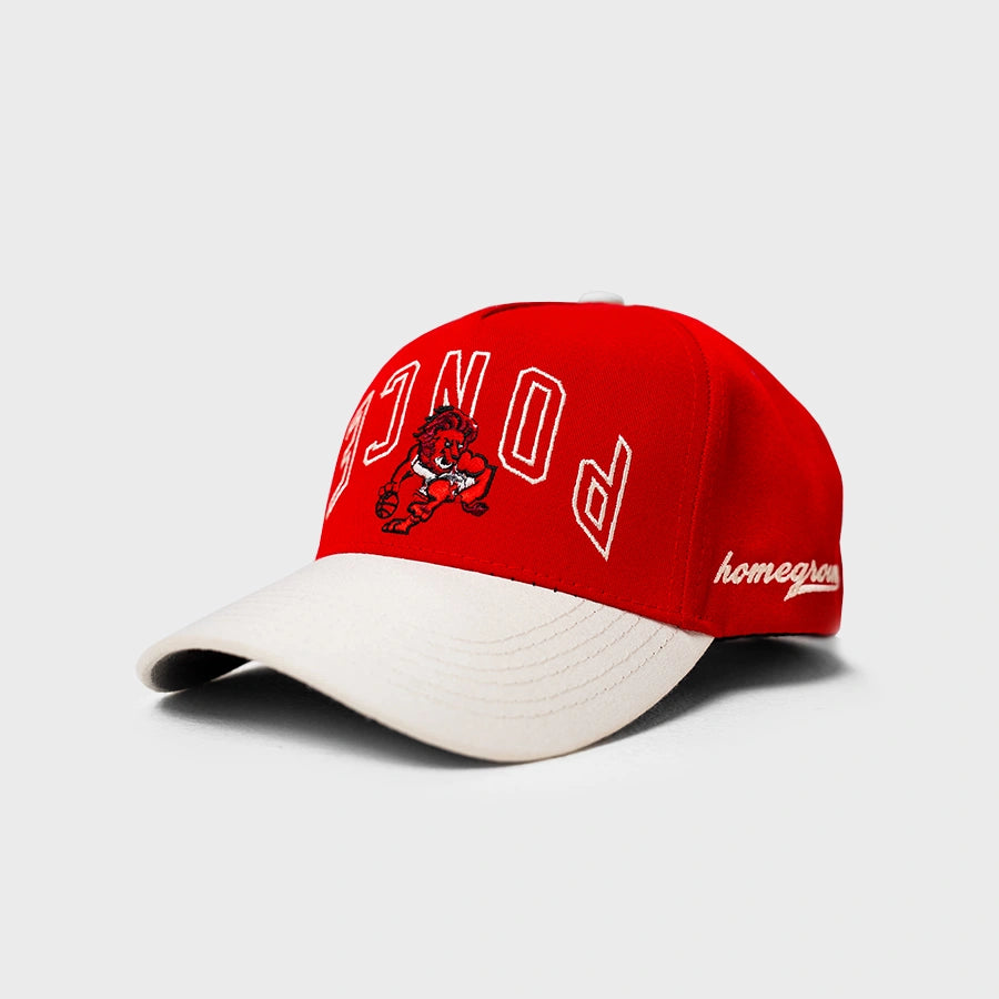 BSN Ponce Snapback