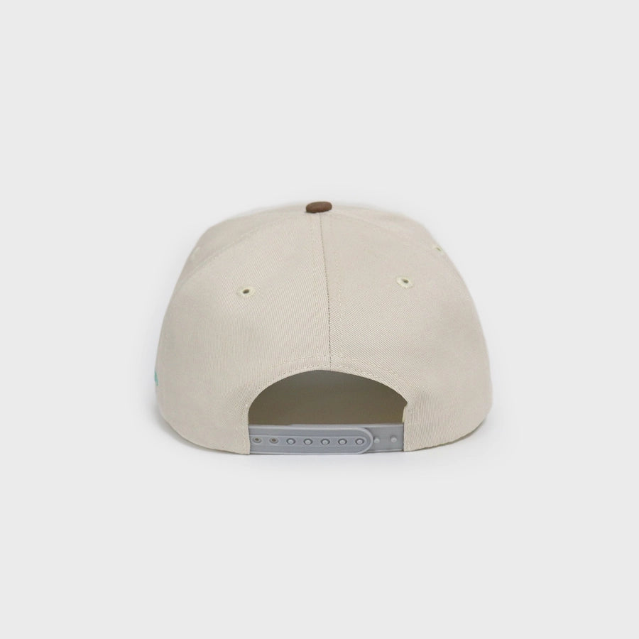 Everyday Homegrown Snapback