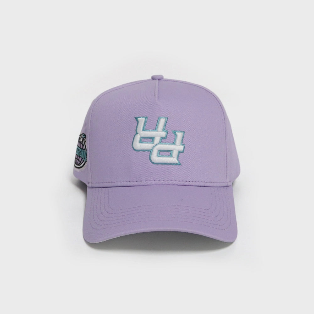Lilac PR Snapback