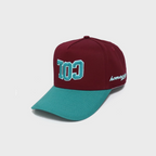 Rimas Sports x Homegrown COL Snapback